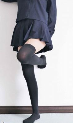 细狗网页版登录入口