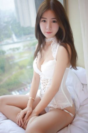 风之画员 电视剧