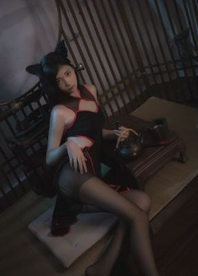 番茄视频app